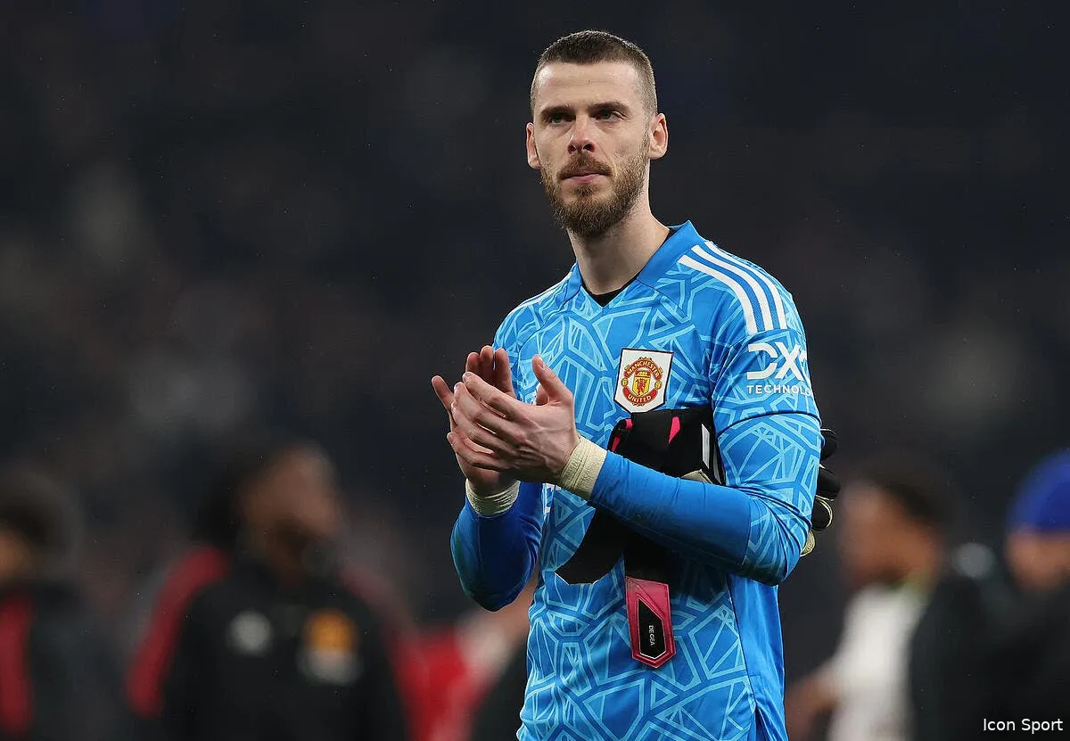 de gea la fraude un supporter de man united en fait un film icon spi 056 pt tottenham man utd 362300