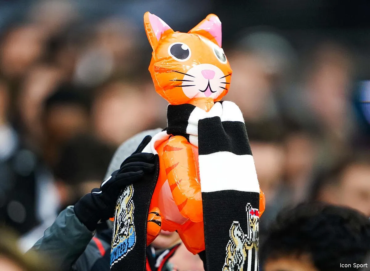 des chats gonflables zouma humilie en plein match icon 65411949 335105