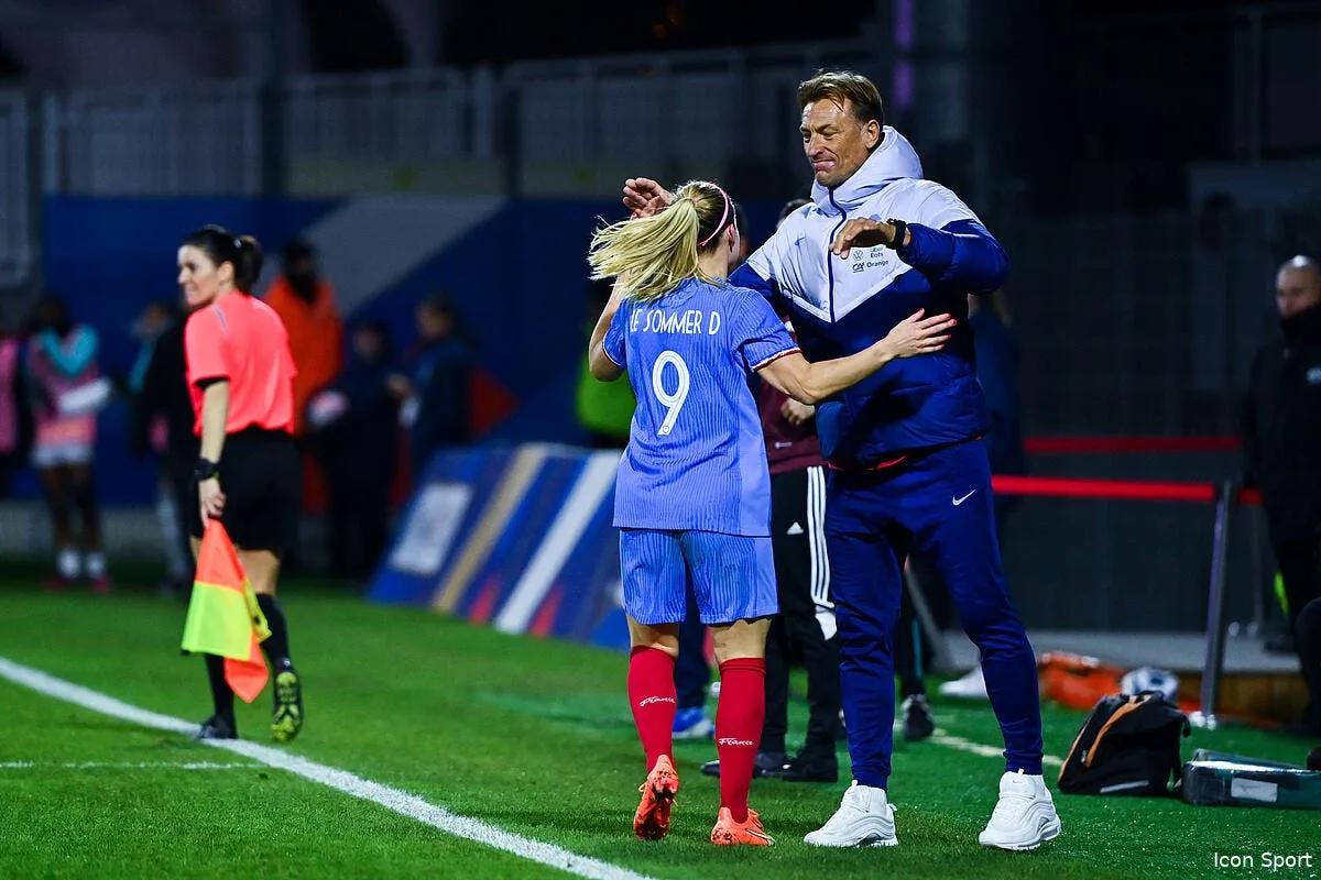 edf le sommer choquee par la methode renard icon dib 070423 10 76 358982