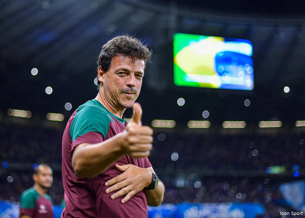 fernando diniz assure l interim avec l equipe du bresil icon ap 12508104 362418