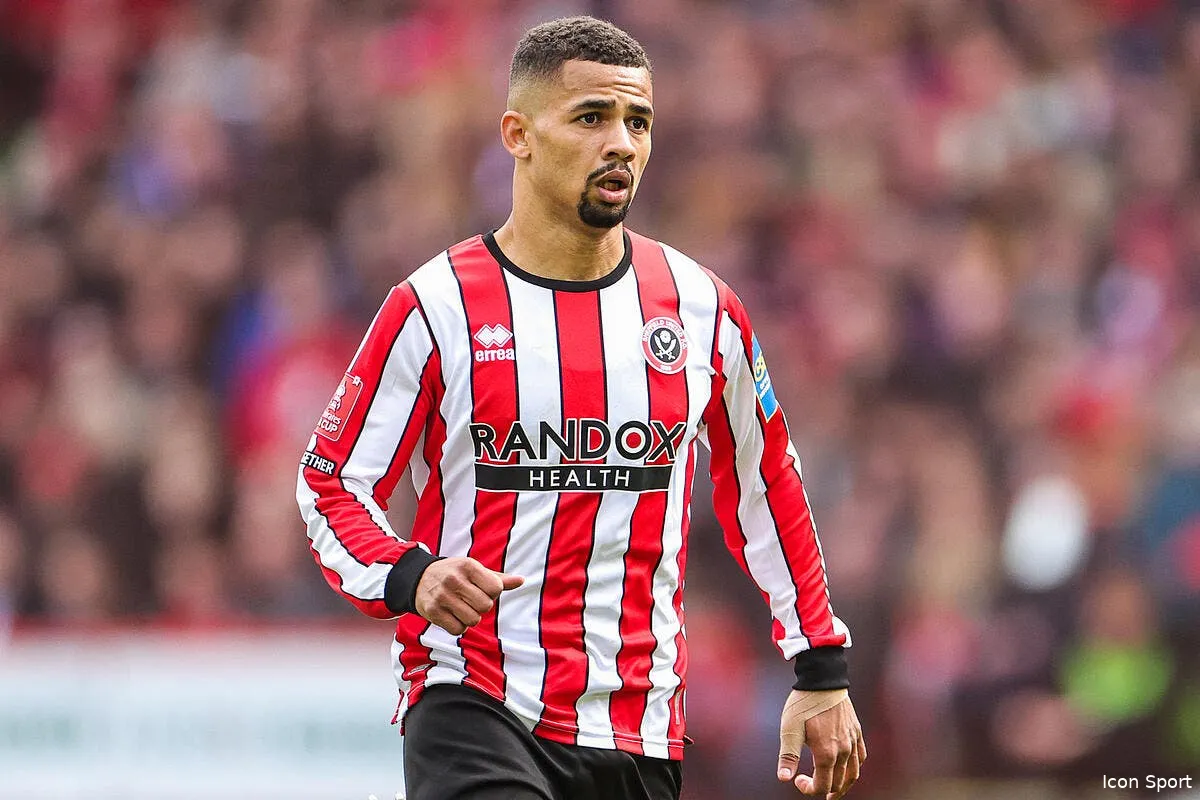 iliman ndiaye a l om il arrive dans 24 heures icon iconsport sipausa 45231114 363246