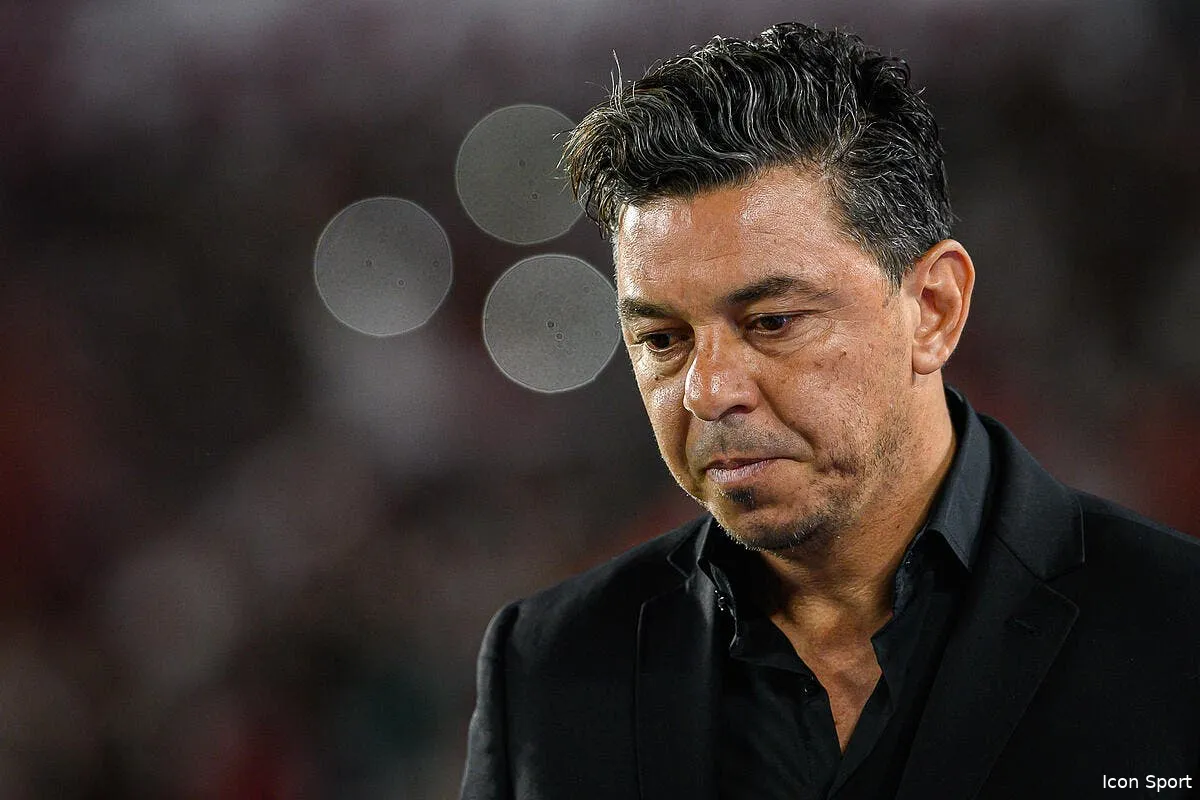 l om et gallardo brouilles avant d etre lies icon sipausa 42061049 361757