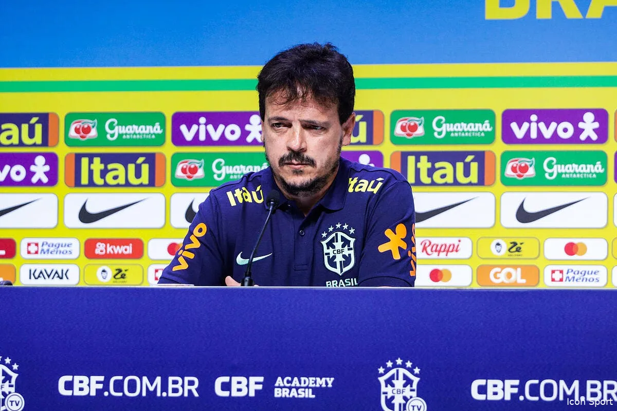 le bresil vire fernando diniz icon sipausa 47828466 370152