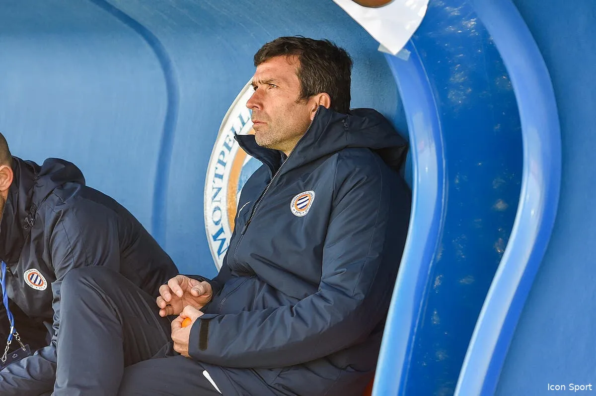 montpellier romain pitau entraineur jusqu a la treve icon dim 200219 45 39 352479