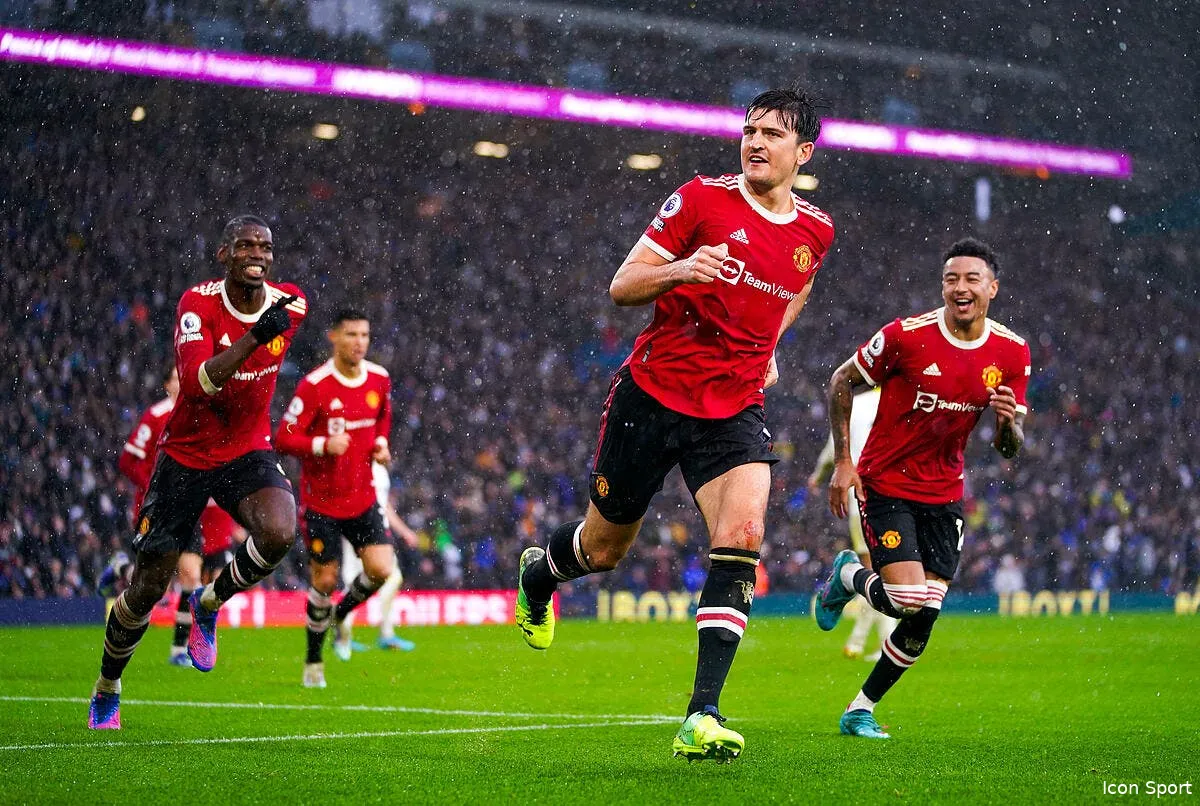 mu fait le spectacle a leeds icon 65437674 335201