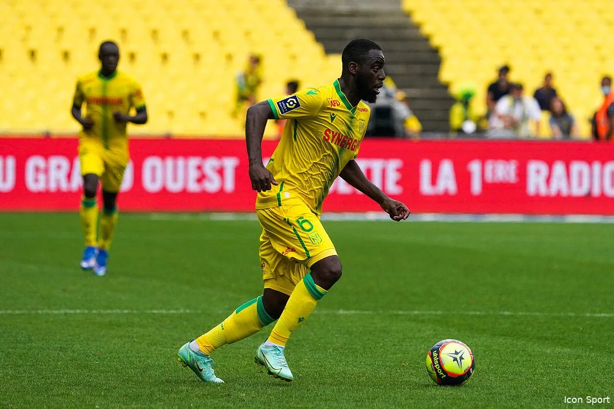 nantes c est pas paris ce canari a fui le danger icon elnantesmetz 249 335081