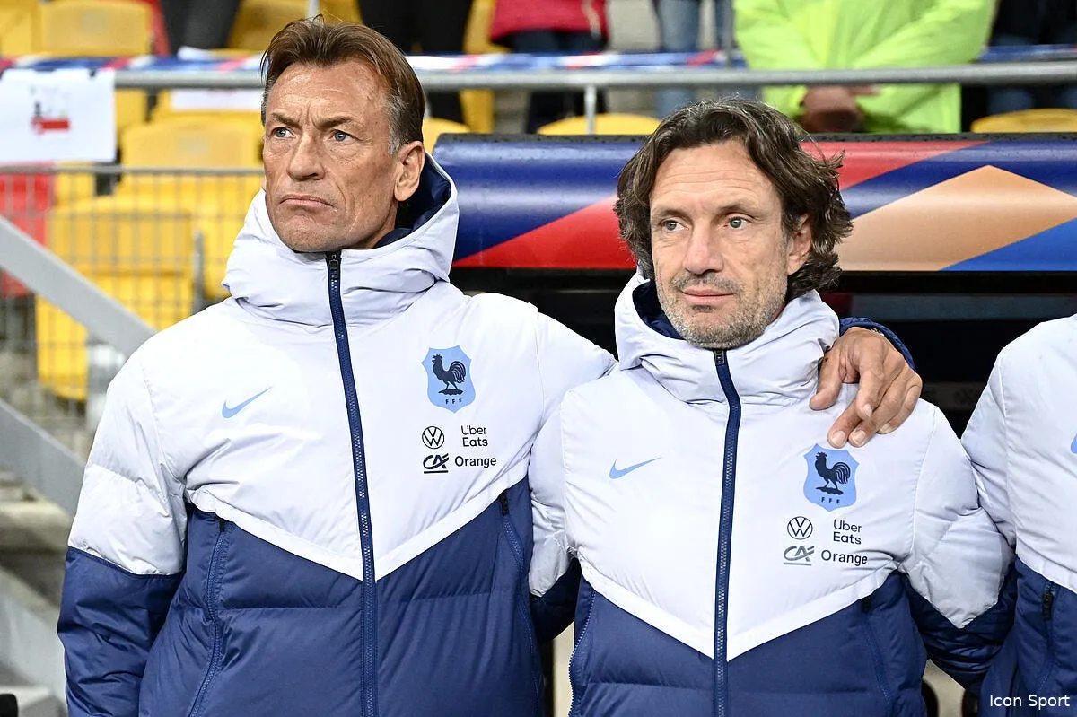 ol herve renard est le coach ideal jean michel aulas est cash icon ab9 2280 359225