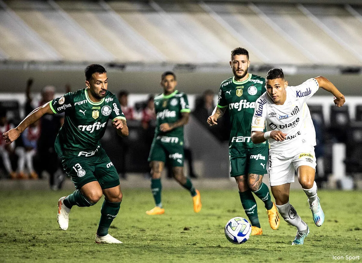 pour 20 me monaco veut arracher un jeune bresilien de 18 ans icon santos v palmeiras 12 362812