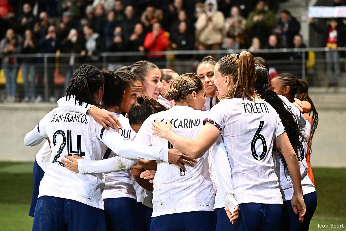 renard sauveur des bleues le mondial tranchera seul icon ab9 2772 359173