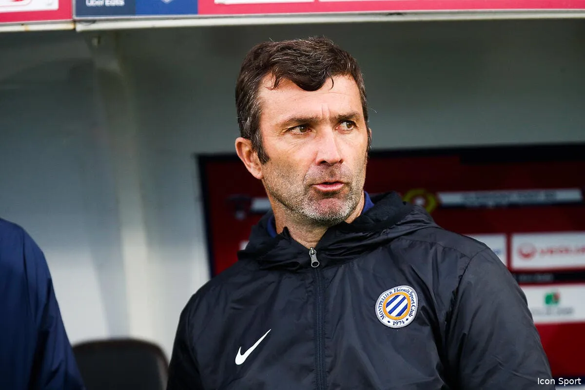 romain pitau confirme a montpellier jusqu a la fin de saison icon 25i8277 353558