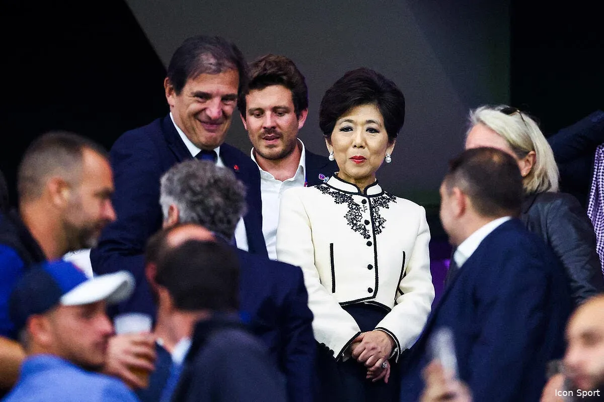 un nouveau stade a lyon le projet est lance icon 870761 005 371706