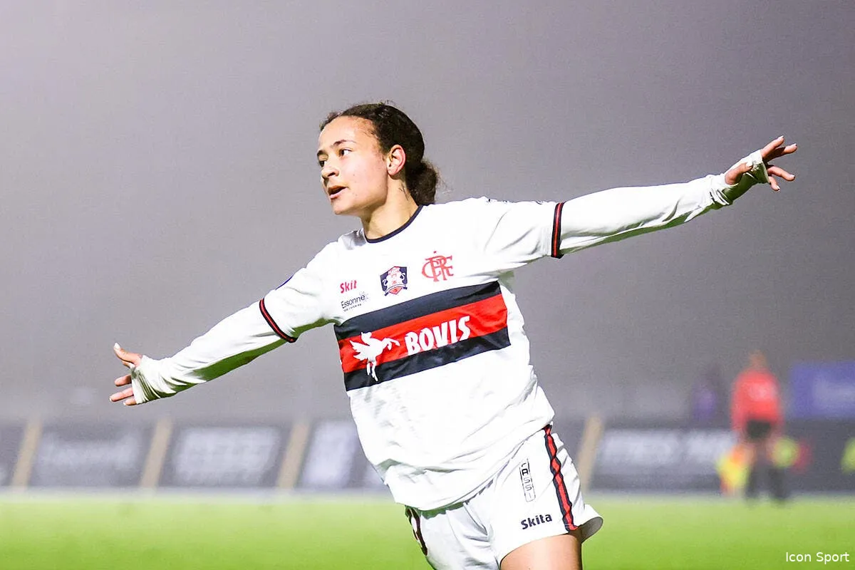 l homosexualite est un peche une joueur de fleury derape iconsport 249678 0039 389824