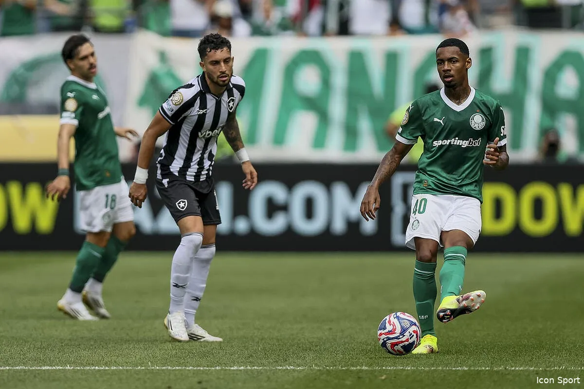 palmeiras renvoie botafogo et textor a la maison iconsport 263249 0054 394920