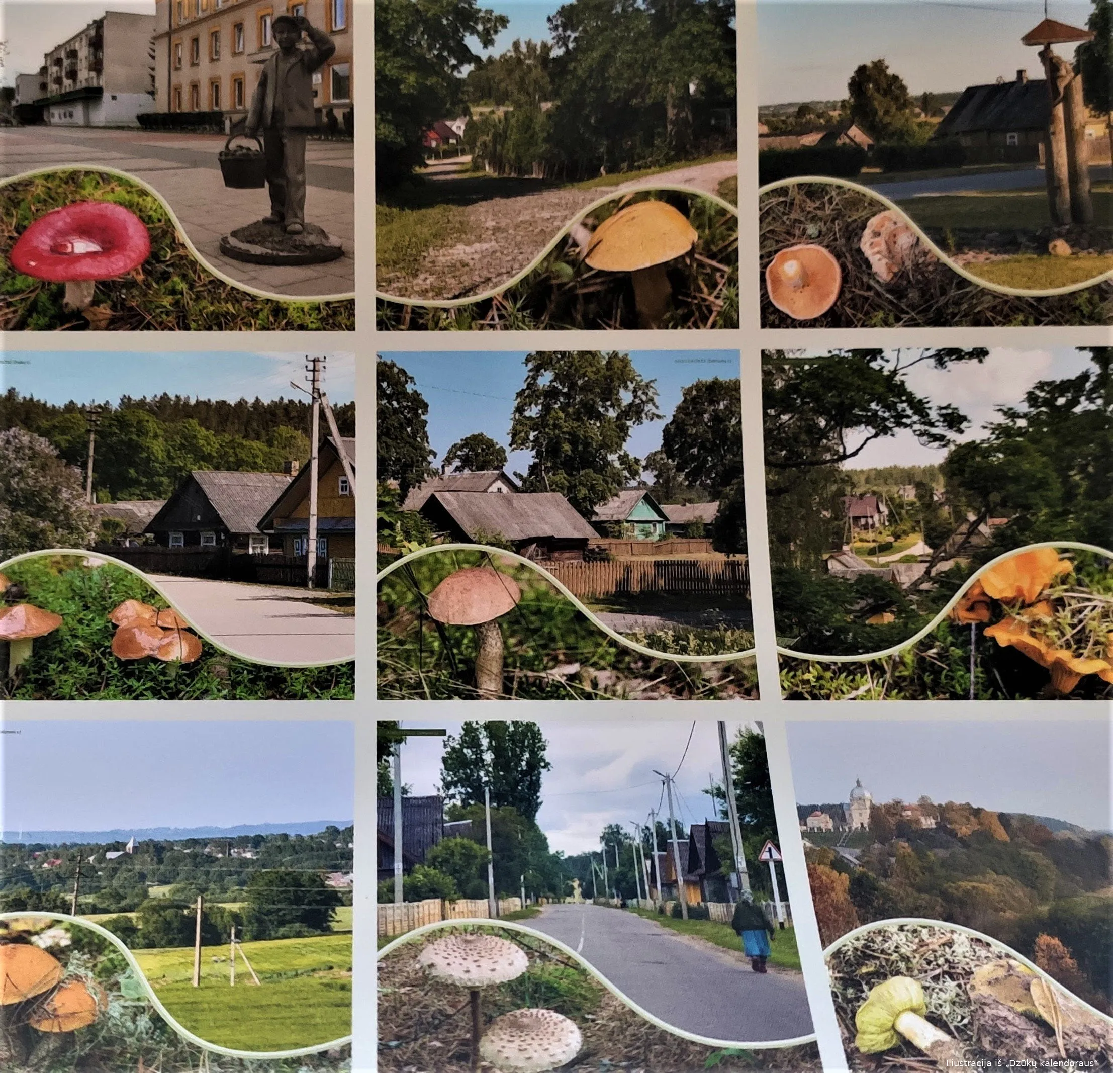 dzugryimg 20201029 154039