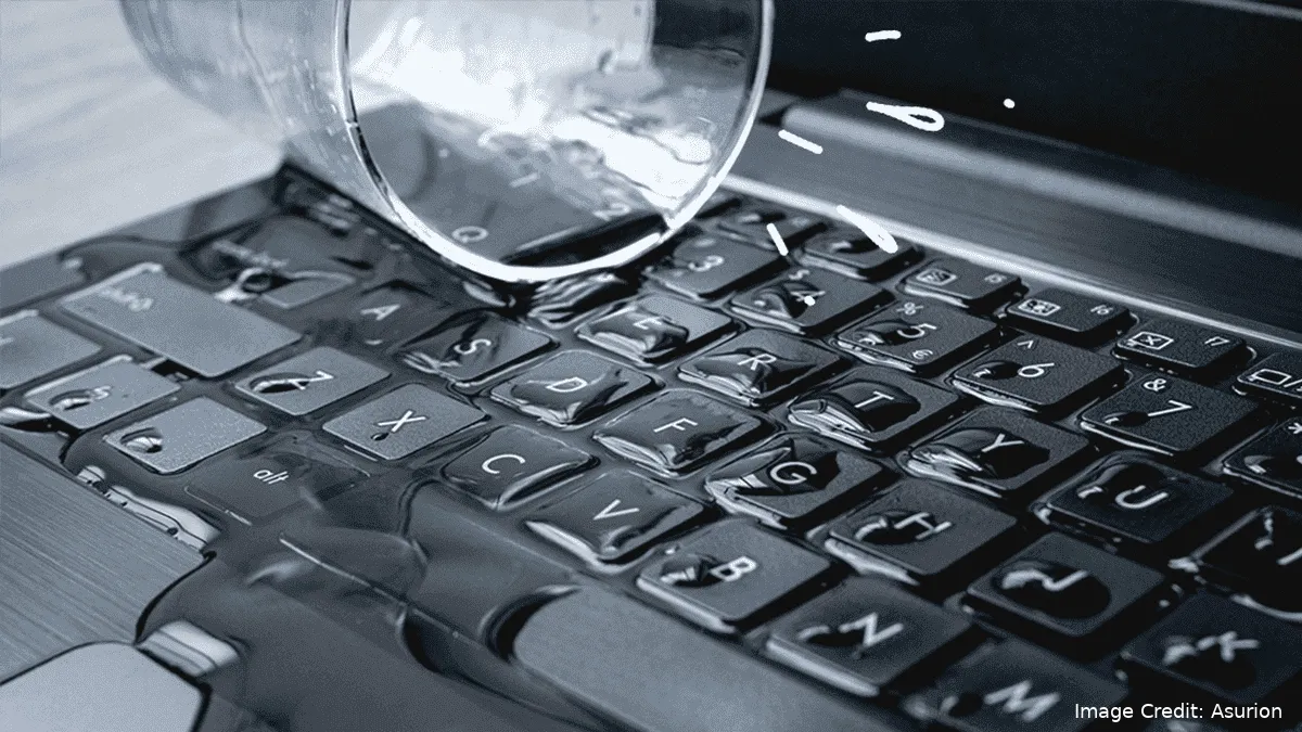 imagem 2024 01 31 030455977