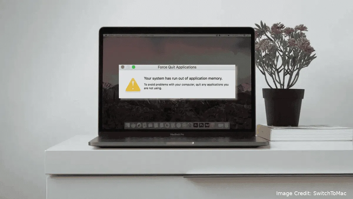 imagem 2024 09 03 012132515