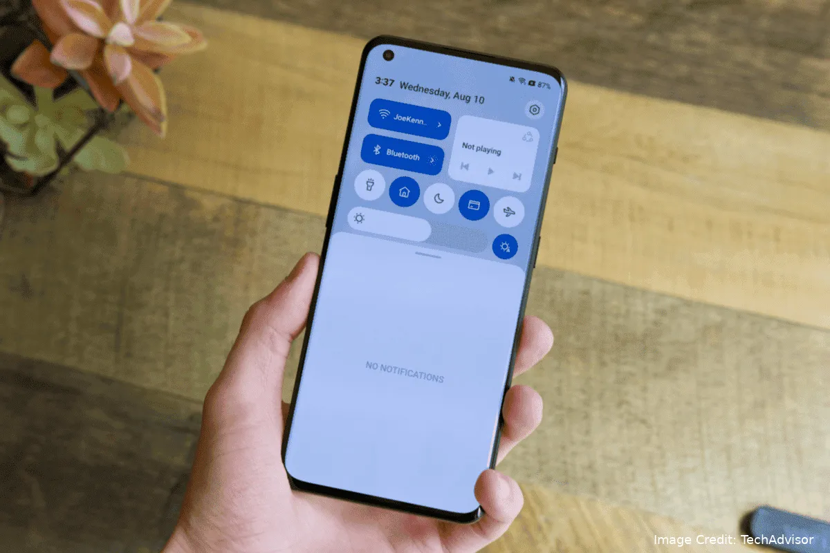 imagem 2022 12 13 144638400