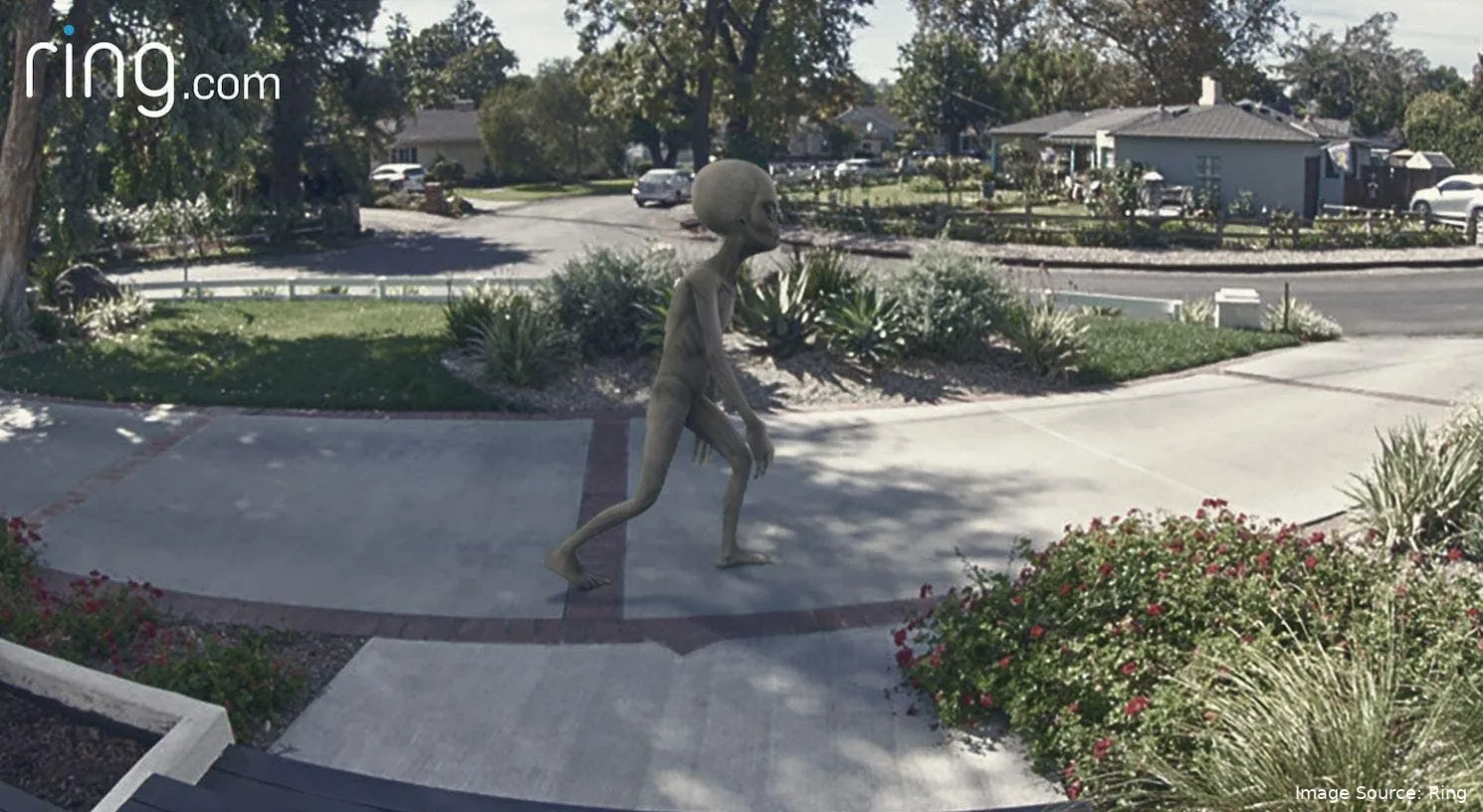 screenshot 2023 10 02 at 12 1