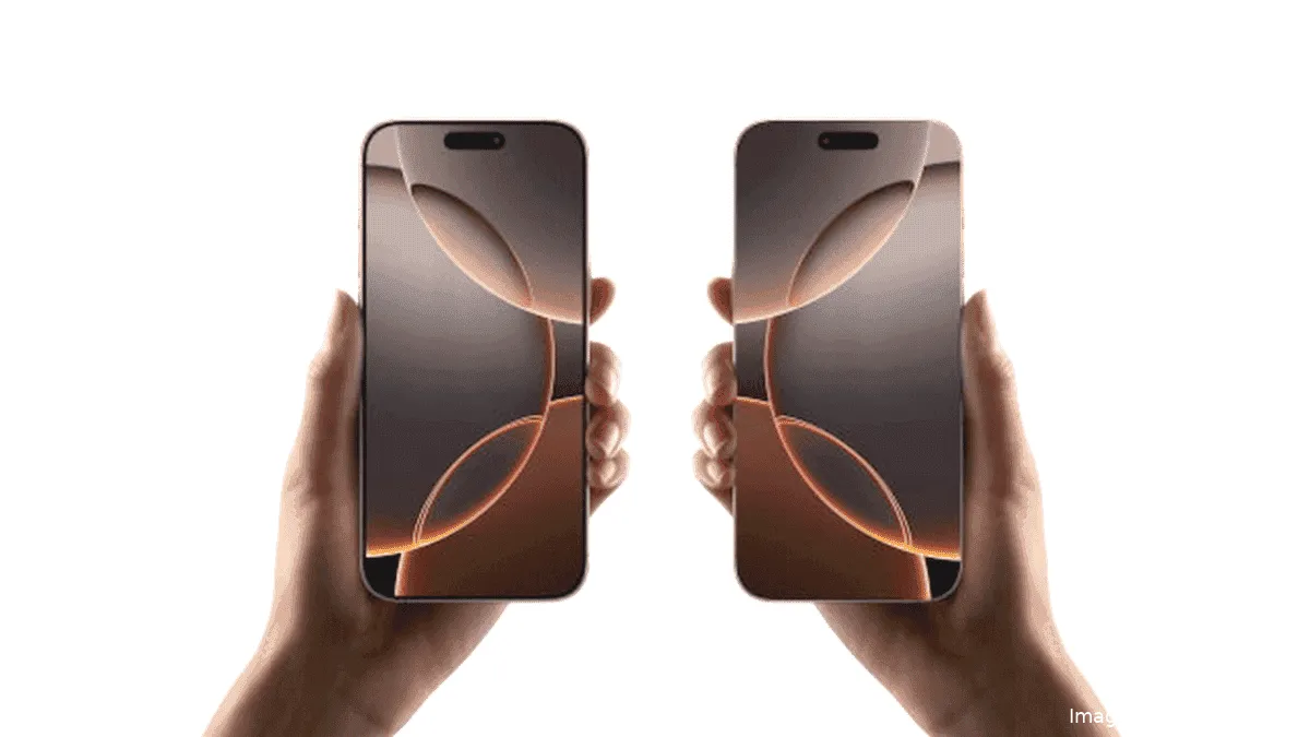 imagem 2024 12 29 015121386