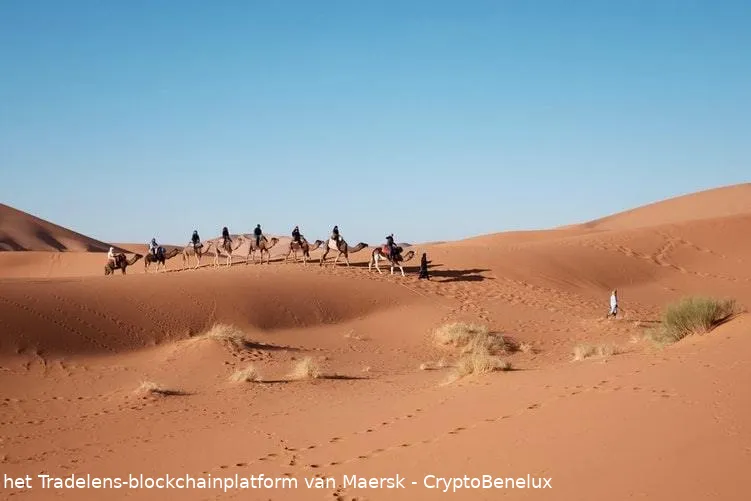 photo 1452022582947 b521d8779ab6