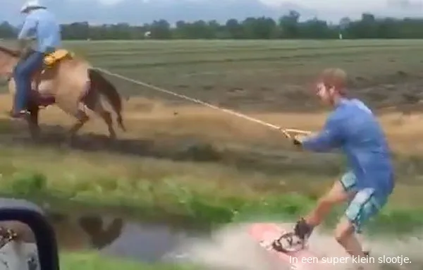 horsewakeboard