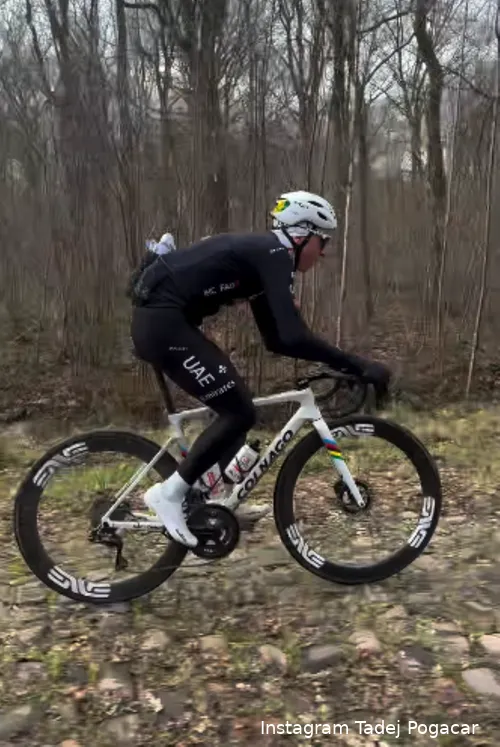 tadej pogacar