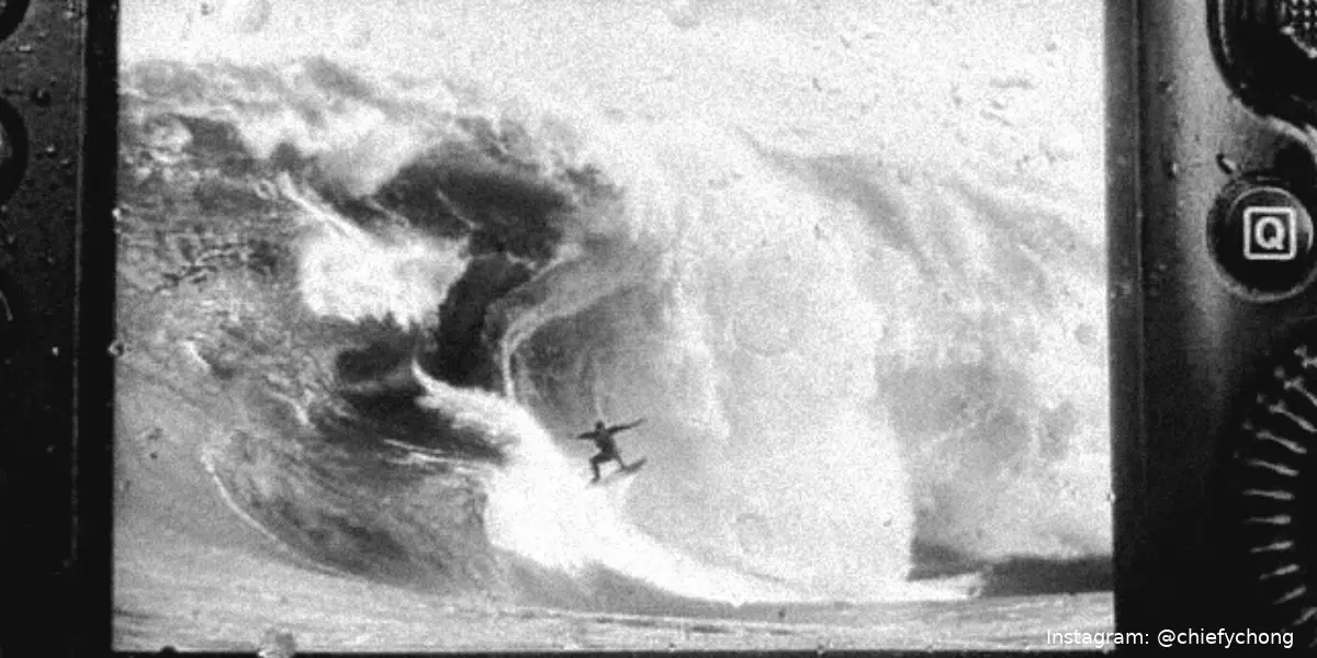 surfdude tasmanie