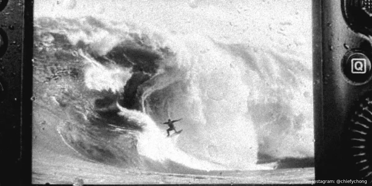 surfdude tasmanie