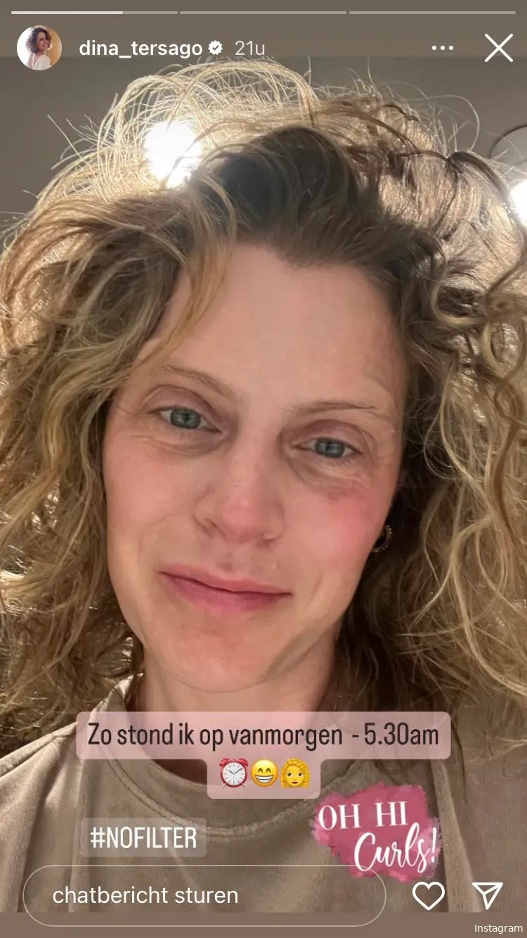 Bron: Instagram Stories (@dina_tersago)
