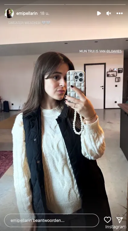 Instagram Stories (@emipellarin)
