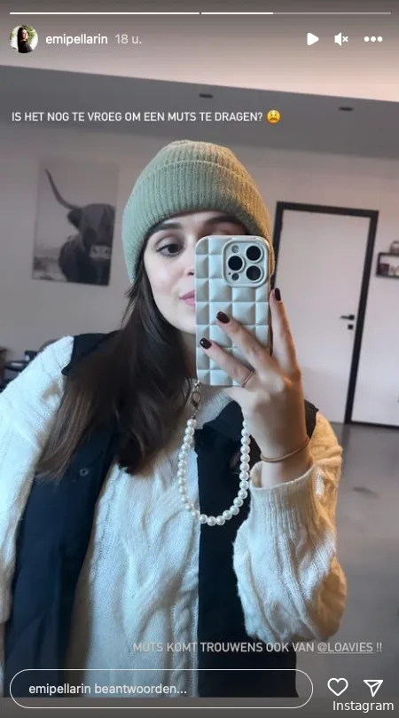 Instagram Stories (@emipellarin)