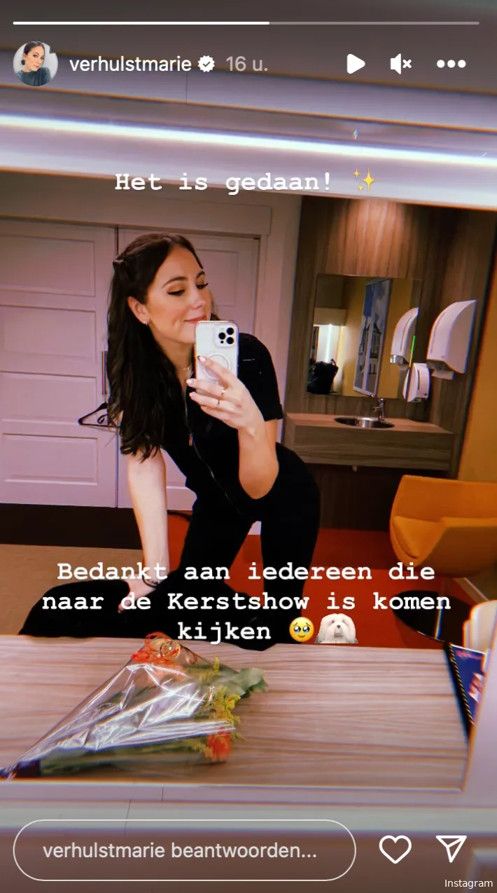 Instagram Stories (@verhulstmarie)