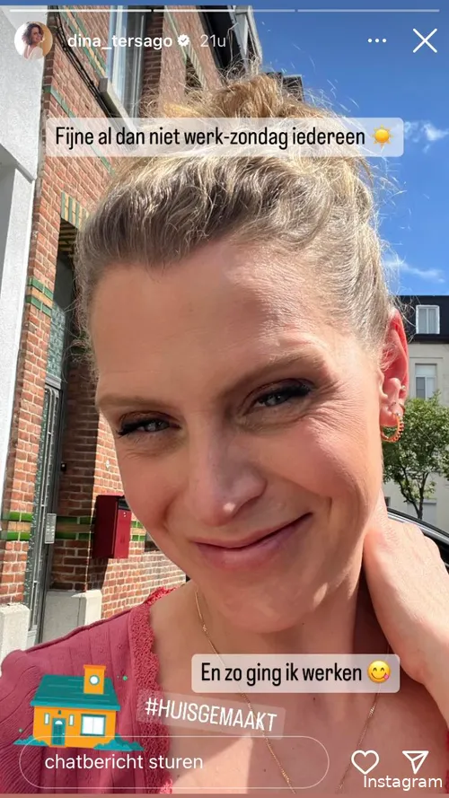 Bron: Instagram Stories (@dina_tersago)