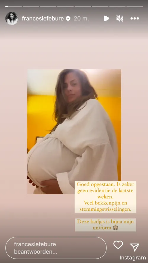 Instagram Stories (@franceslefebure)
