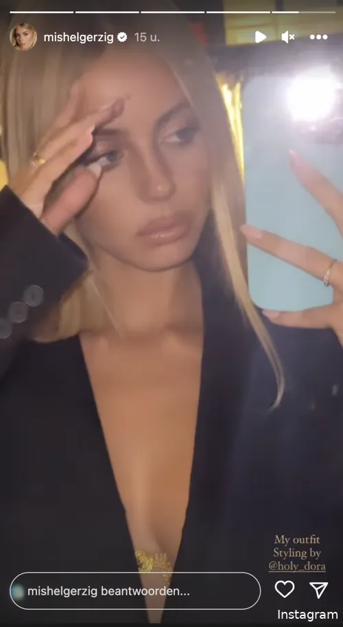 Instagram Stories (@mishelgerzig)