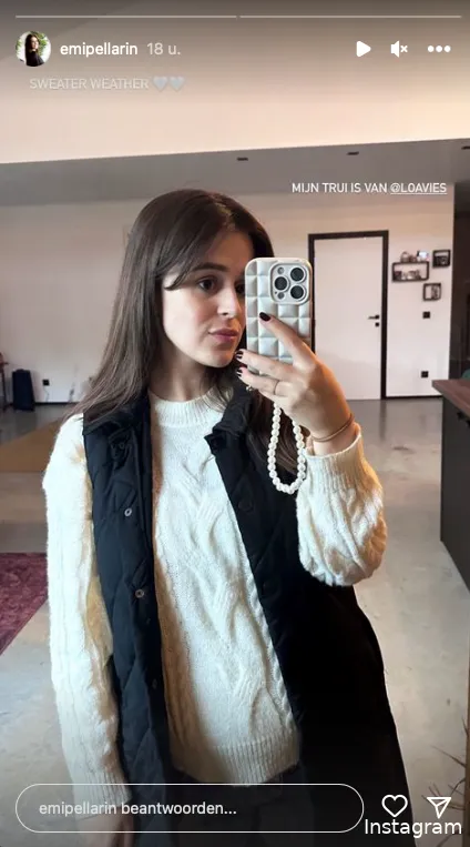 Instagram Stories (@emipellarin)