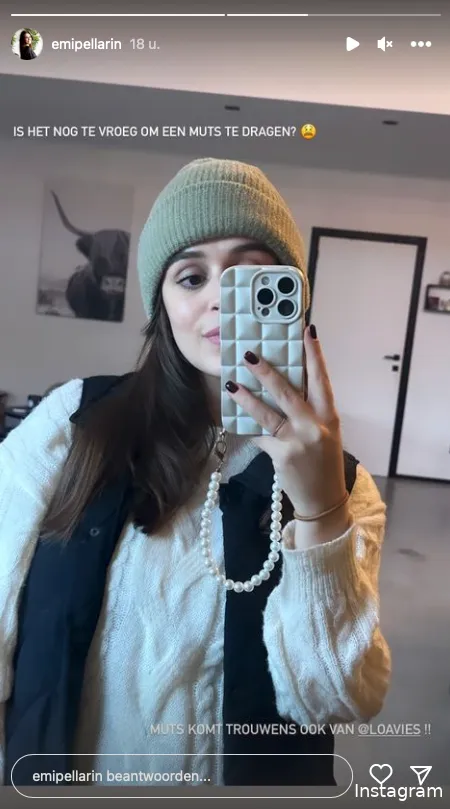 Instagram Stories (@emipellarin)