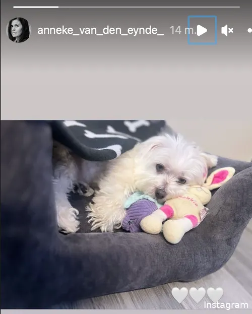 schermafbeelding 2023 10 04 om 114543