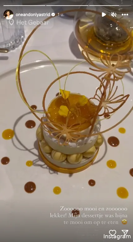 Instagram Stories (@oneandonlyastrid)