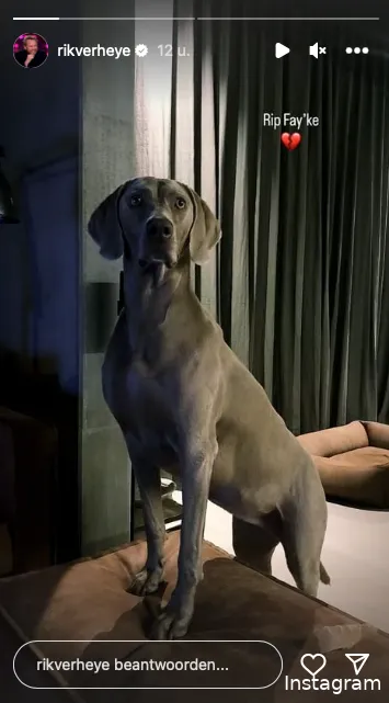 Instagram Stories (@rikverheye)