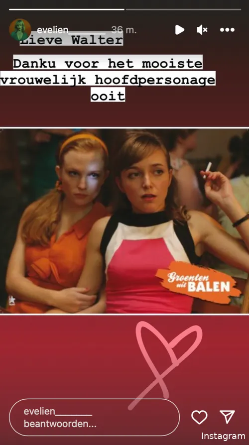 Instagram Stories (@evelien_______)