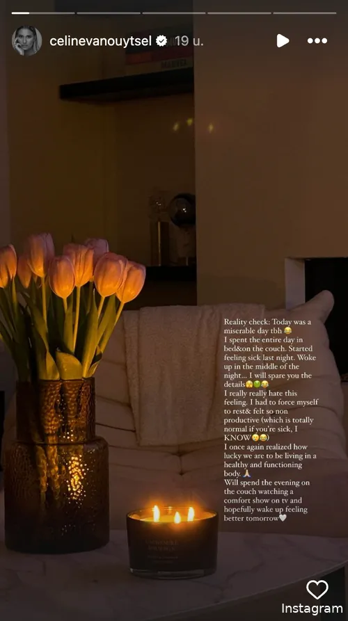 Instagram Stories (@celinevanouytsel)