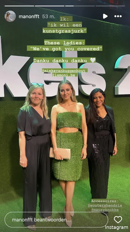 Instagram Stories (@manonfft)