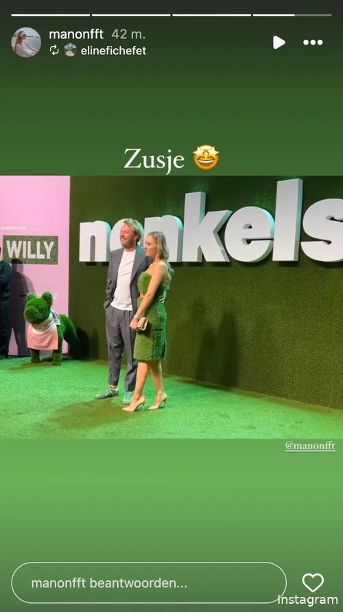 Instagram Stories (@manonfft)