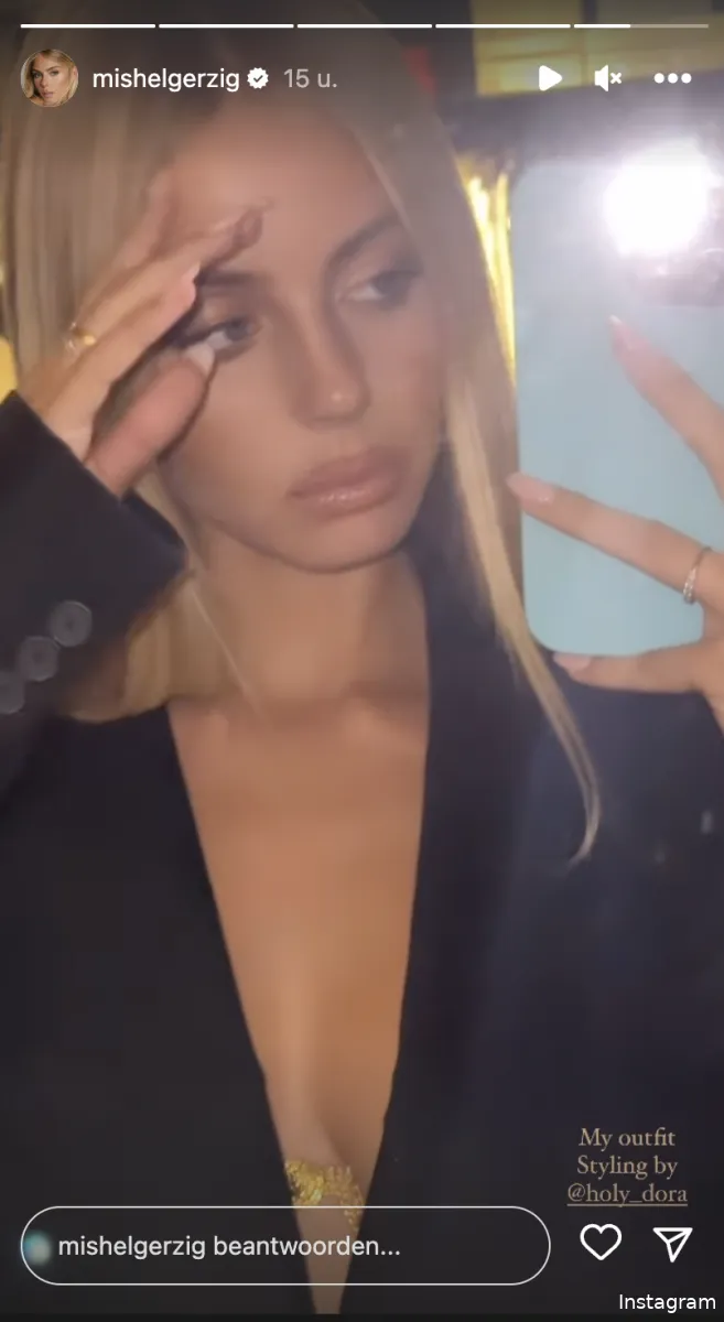 Instagram Stories (@mishelgerzig)