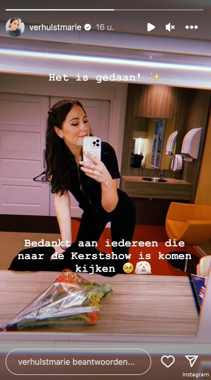 Instagram Stories (@verhulstmarie)