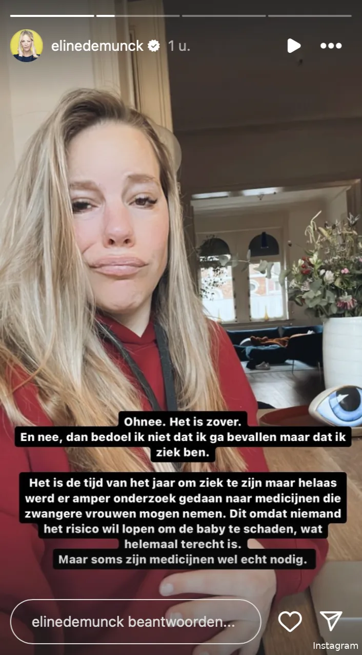 Instagram Stories (@elinedemunck)