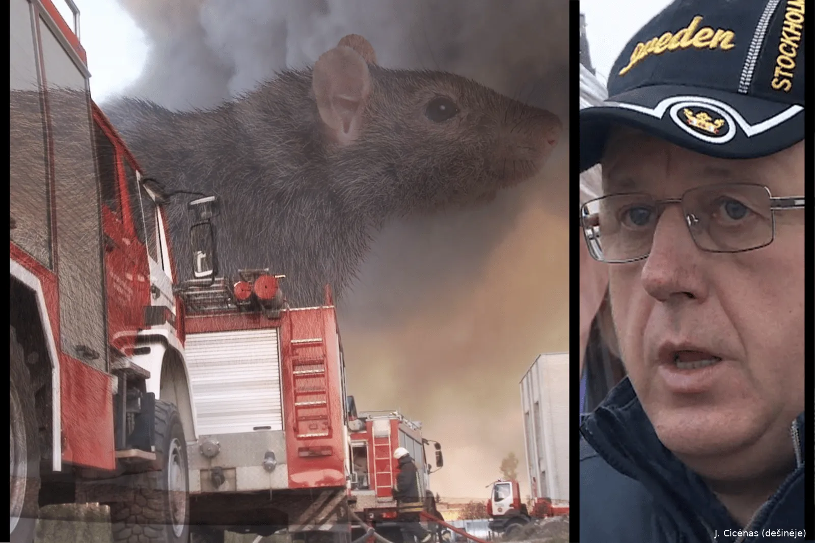 befunky sample 2022 10 16t150456876