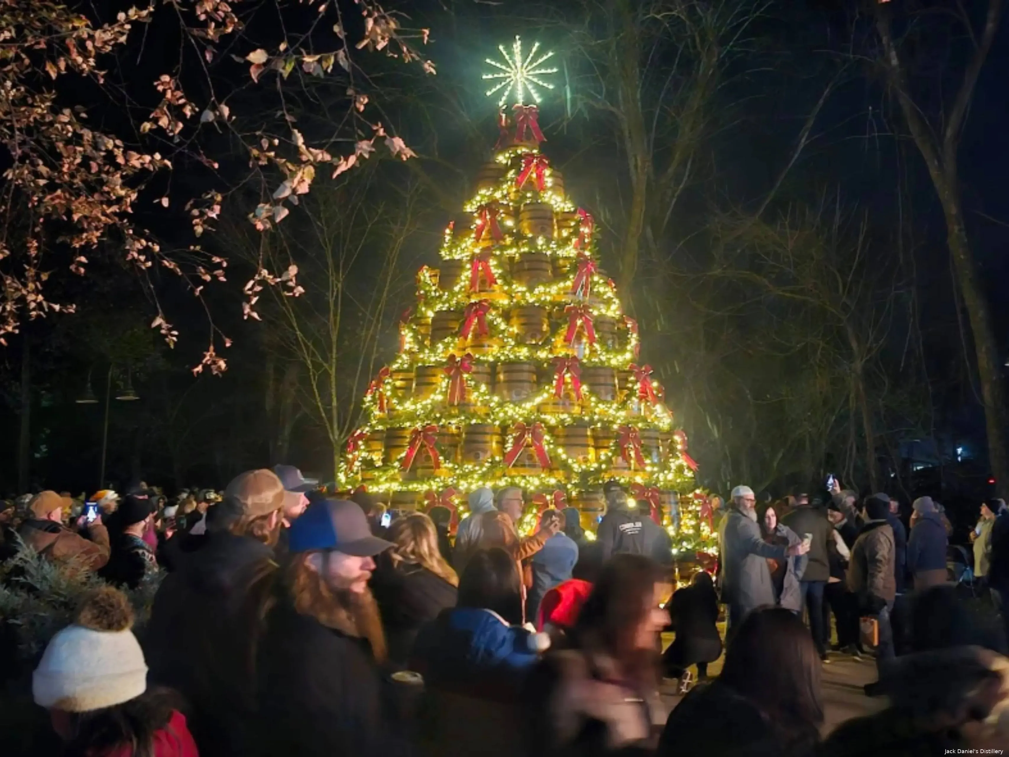 Jack Daniels Barrel Trees