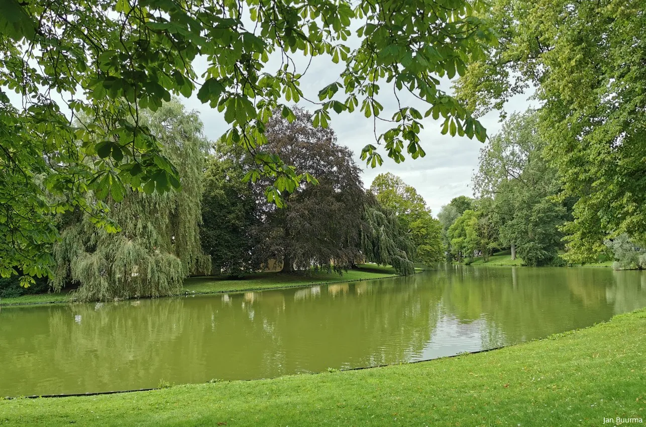 vijver noorderplantsoen weer